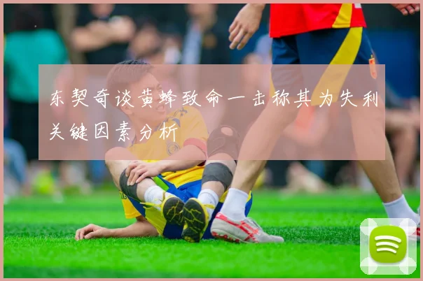 东契奇谈黄蜂致命一击称其为失利关键因素分析