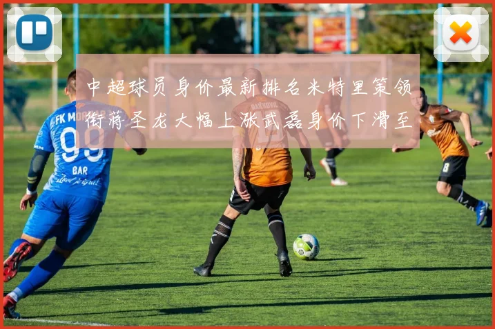 中超球员身价最新排名米特里策领衔蒋圣龙大幅上涨武磊身价下滑至50万