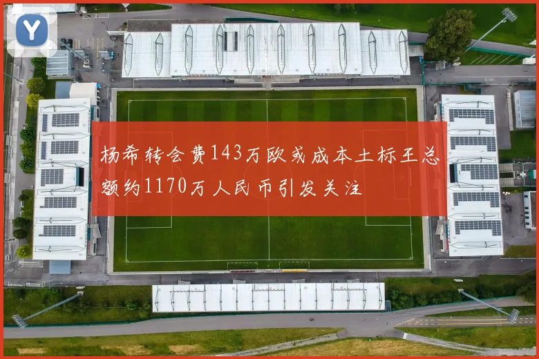杨希转会费143万欧或成本土标王总额约1170万人民币引发关注