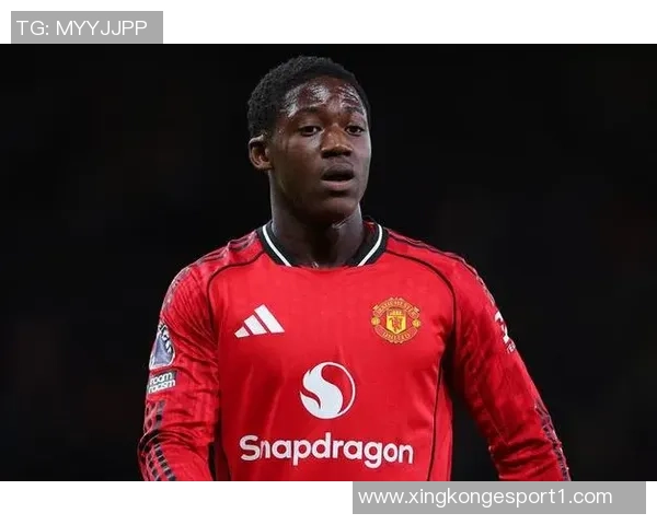 谢林汉姆认为梅努适合利兹联阿莫林的看法并不影响他的潜力